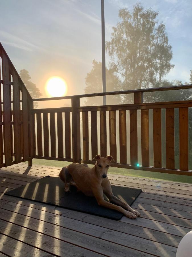 Nyrenoverat Boende I Vackra Järvsö Extérieur photo