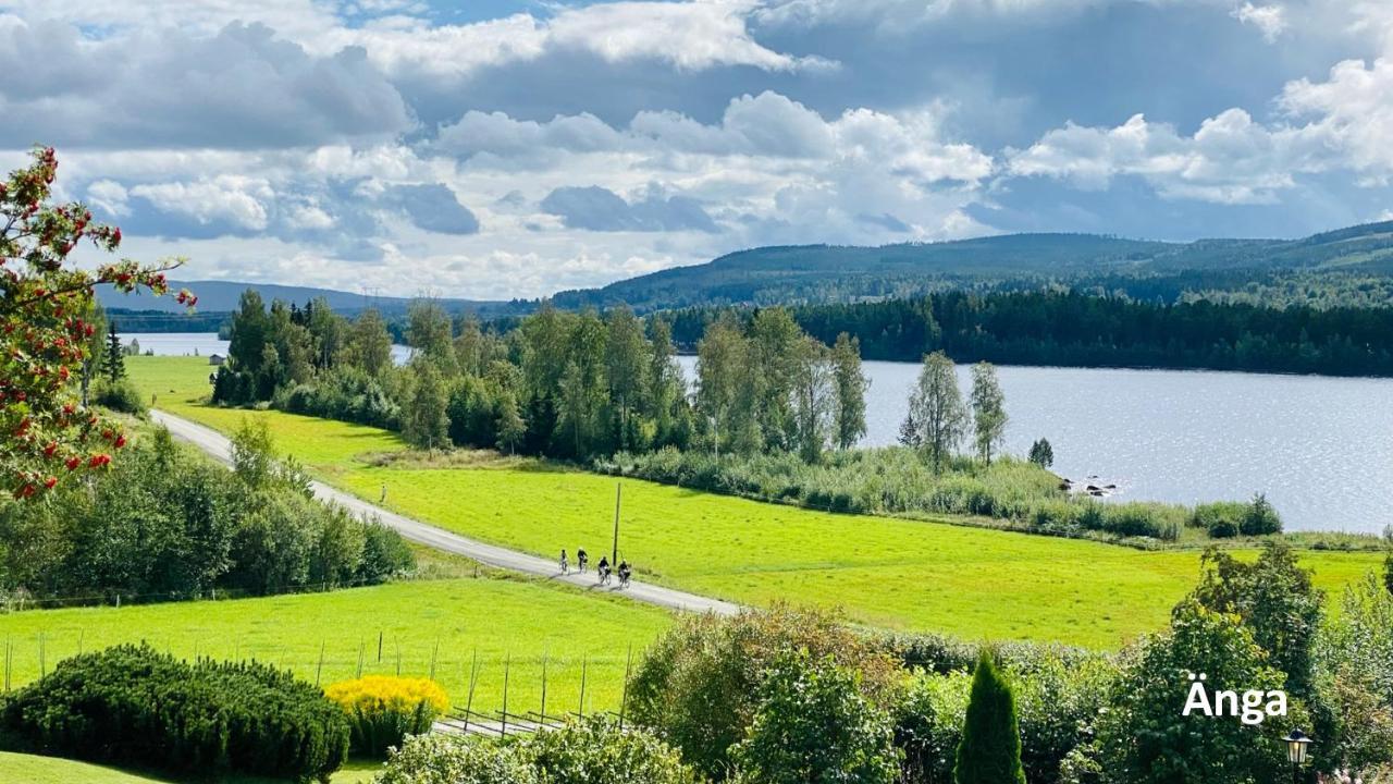 Nyrenoverat Boende I Vackra Järvsö Extérieur photo